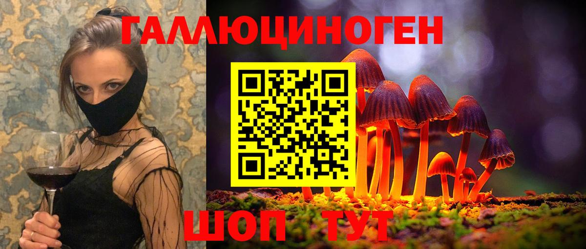 Галлюциногенные грибы мицелий  Галлюциногенные грибы GOLDEN TEACHER  Вход с VPN  Кисловодск 